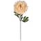 Jumbo Cream Peony Stem by Ashland®